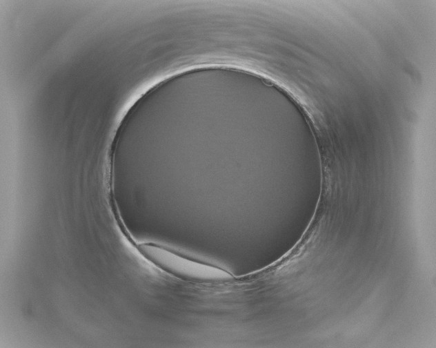 X0000115561527200911201812