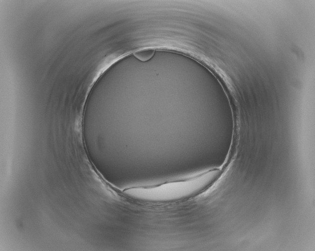 X0000115561529200911201812