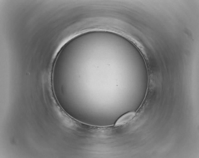 X0000115561530200911201812