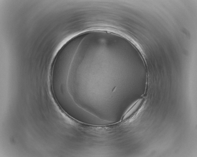 X0000115561533200911201812