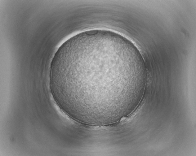 X0000115561534200911201812