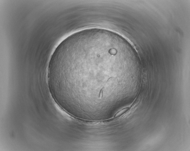 X0000115561535200911201812