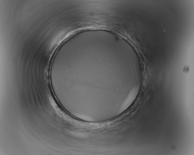 X0000115560002200911271507