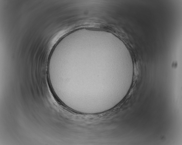 X0000115560003200911271507