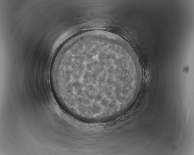 X0000115560004200911271507