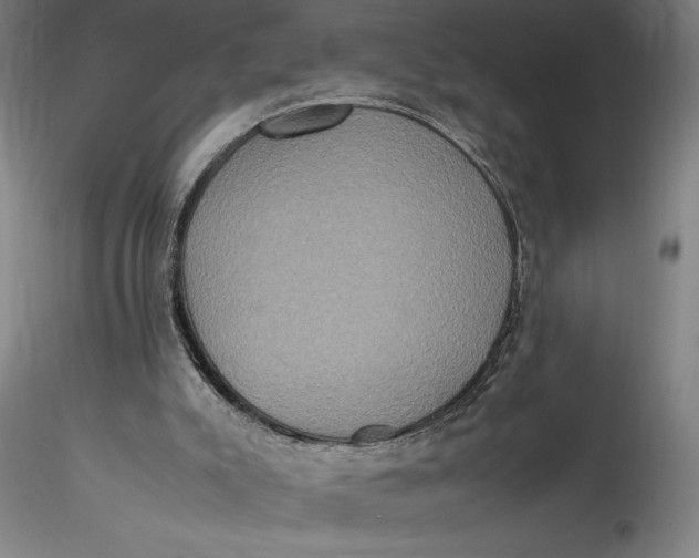 X0000115560007200911271507