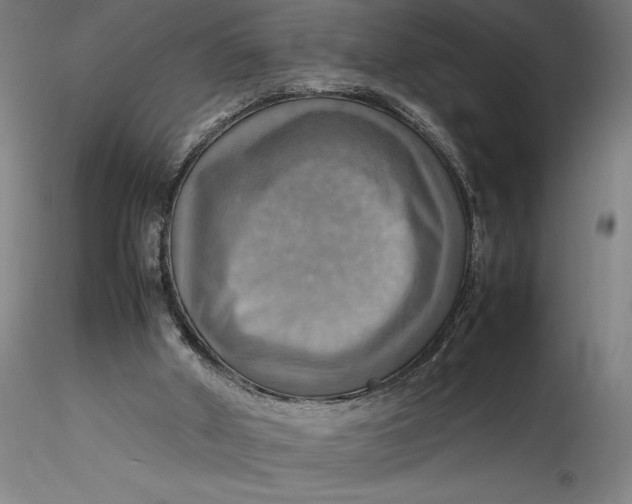 X0000115560010200911271507