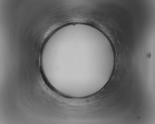 X0000115560011200911271507