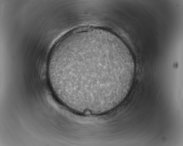 X0000115560012200911271507