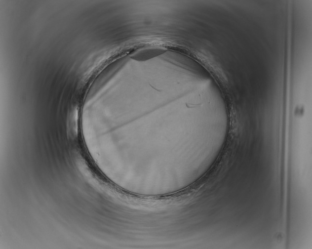 X0000115560014200911271507