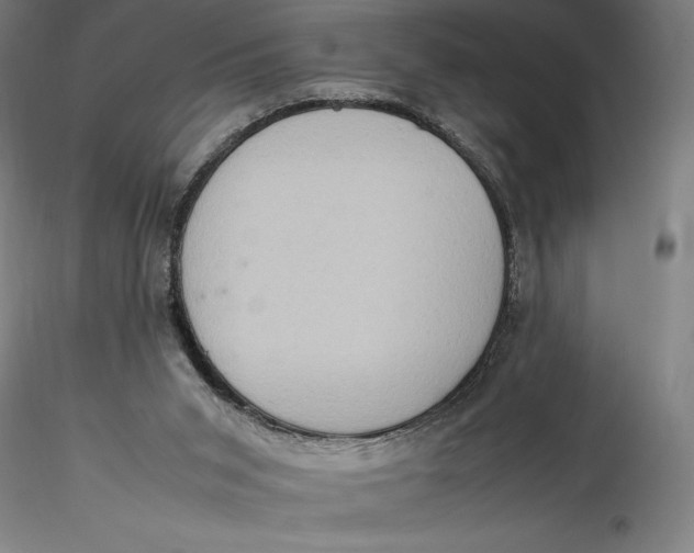 X0000115560015200911271507