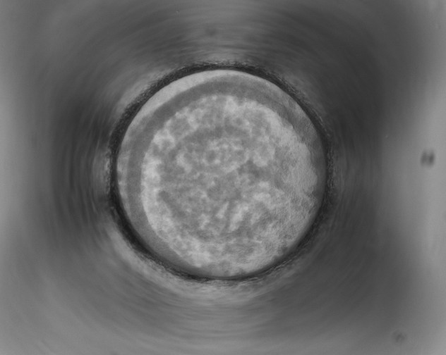 X0000115560016200911271507