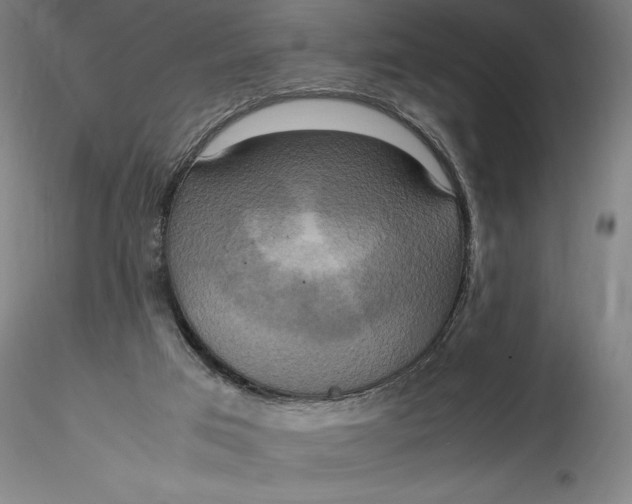 X0000115560017200911271507