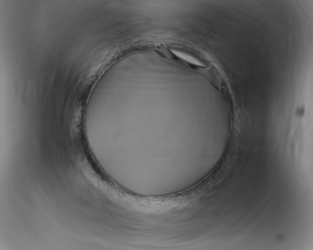 X0000115560018200911271507