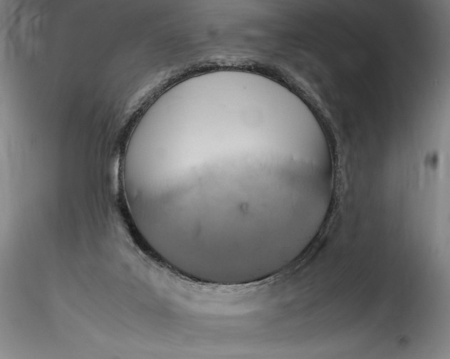 X0000115560019200911271507