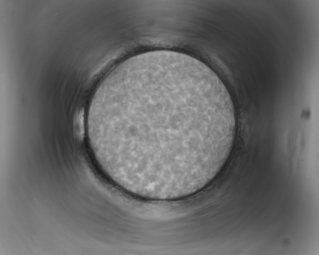 X0000115560020200911271507