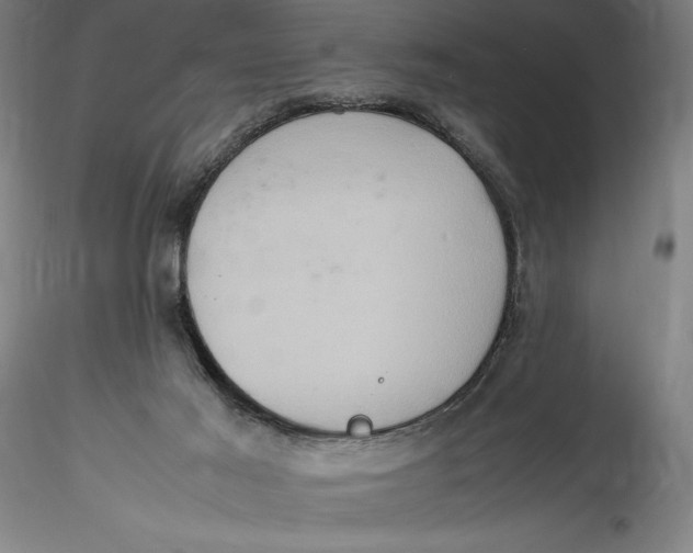 X0000115560021200911271507