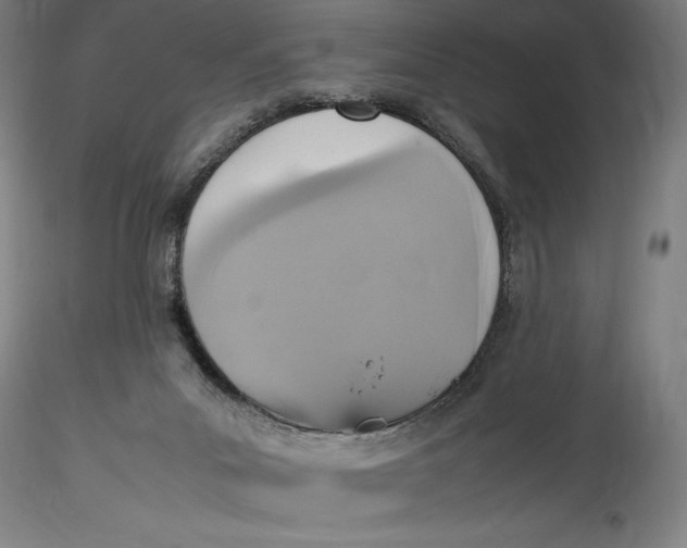 X0000115560023200911271507