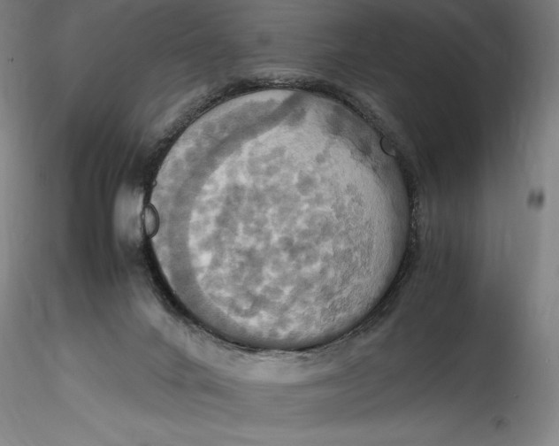 X0000115560024200911271507