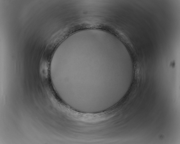 X0000115560026200911271507