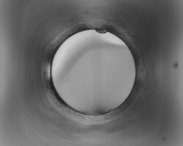 X0000115560027200911271507