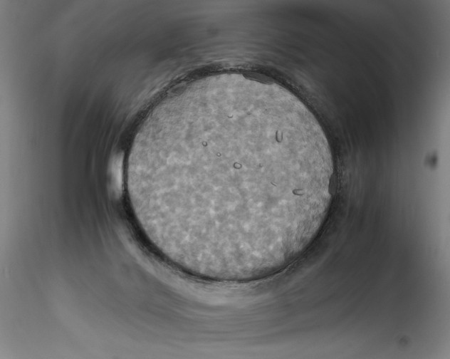 X0000115560028200911271507