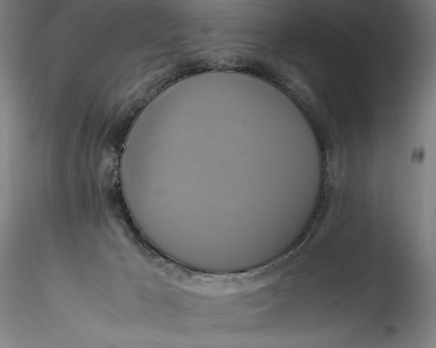 X0000115560029200911271507