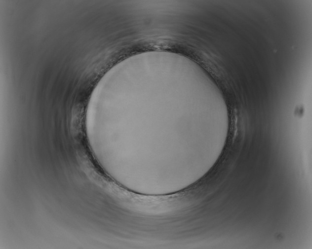 X0000115560030200911271507