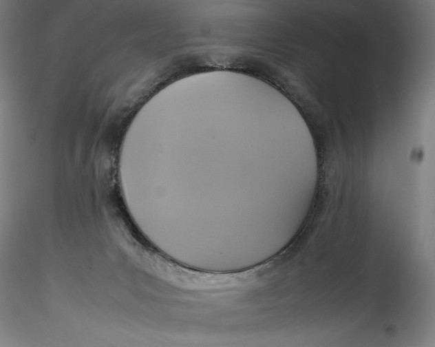 X0000115560031200911271507