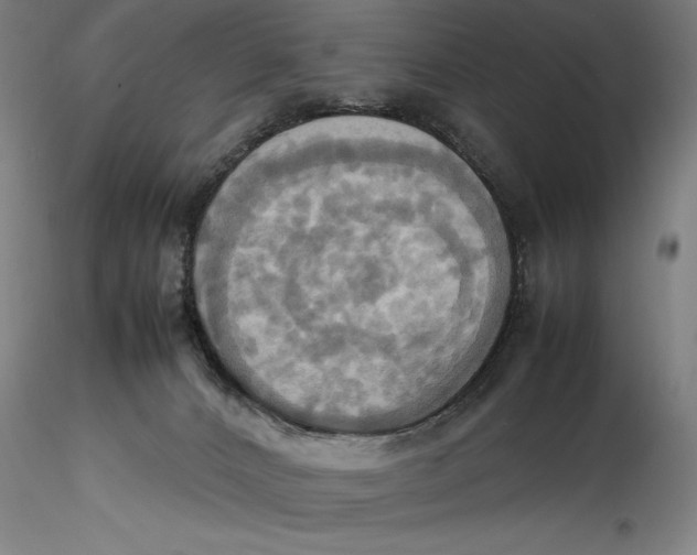 X0000115560032200911271507