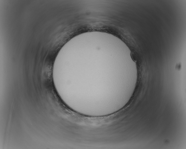 X0000115560033200911271507