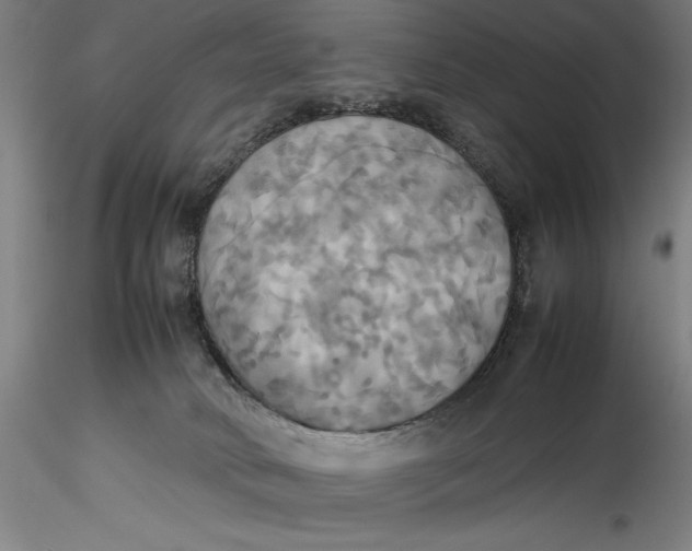 X0000115560034200911271507