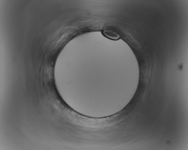 X0000115560035200911271507