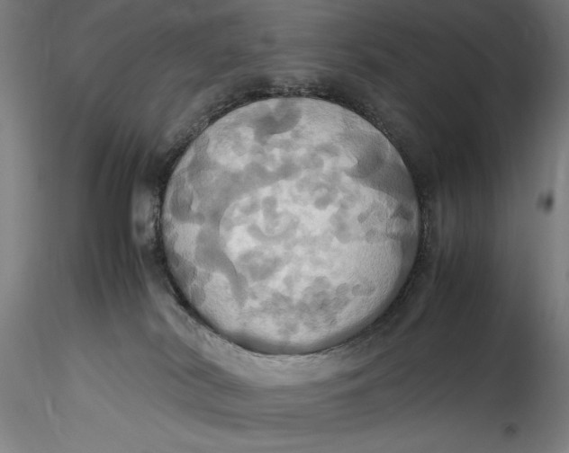 X0000115560038200911271507