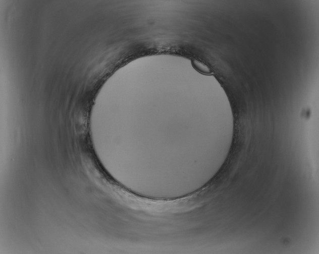 X0000115560039200911271507