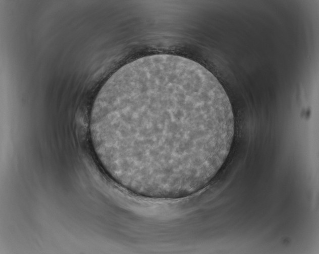 X0000115560040200911271507