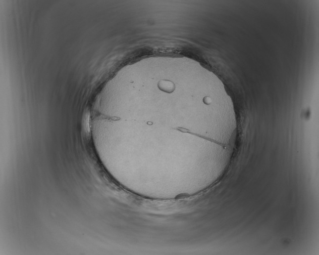 X0000115560041200911271507