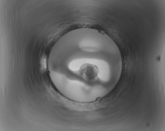 X0000115560042200911271507