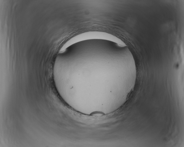 X0000115560043200911271507