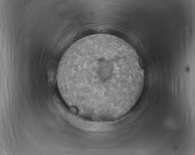 X0000115560044200911271507