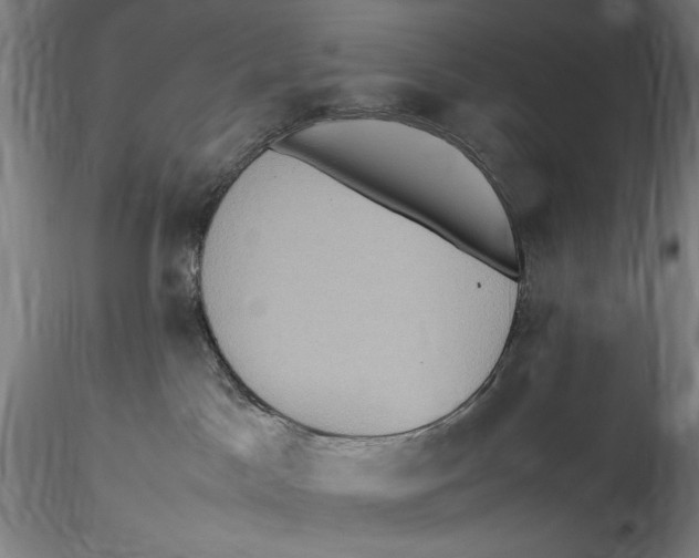 X0000115560045200911271507