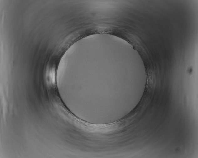 X0000115560046200911271507