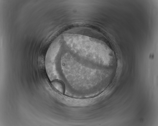 X0000115560048200911271507