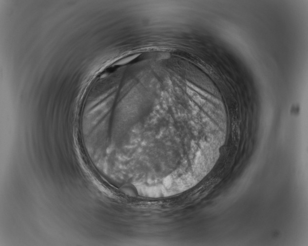 X0000115560049200911271506