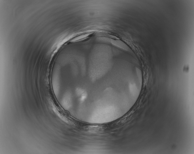 X0000115560050200911271506