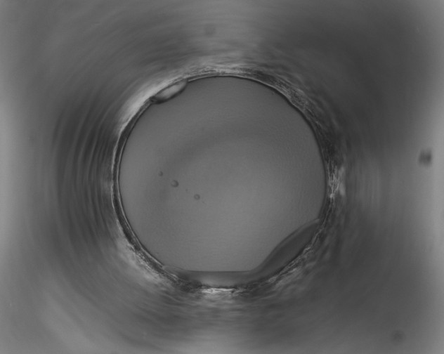 X0000115560052200911271506