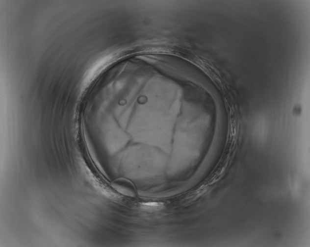 X0000115560053200911271506