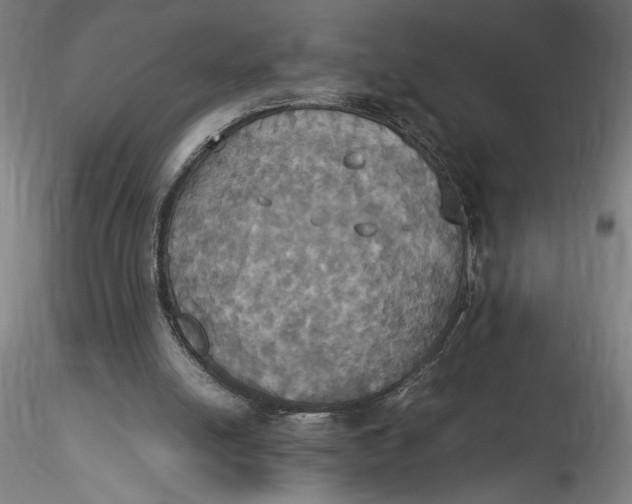 X0000115560054200911271506