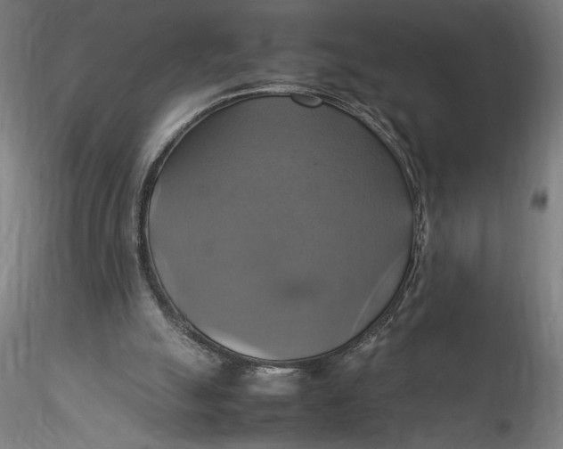 X0000115560055200911271506