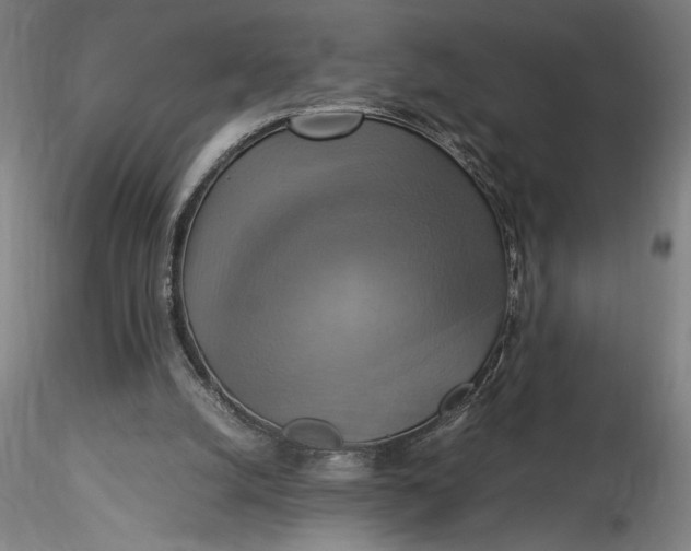 X0000115560056200911271506